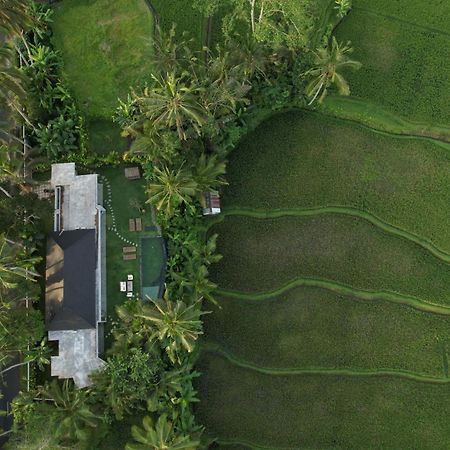 Hatiku Di Bali - Ubud Tegallalang  Εξωτερικό φωτογραφία