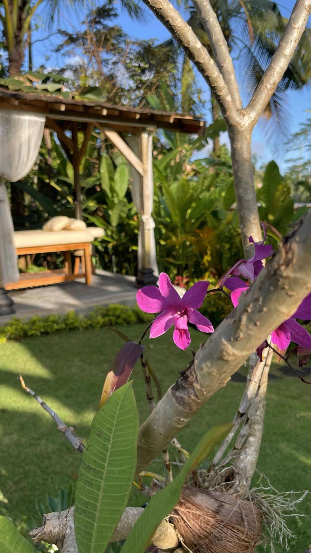 Hatiku Di Bali - Ubud Tegallalang  Εξωτερικό φωτογραφία