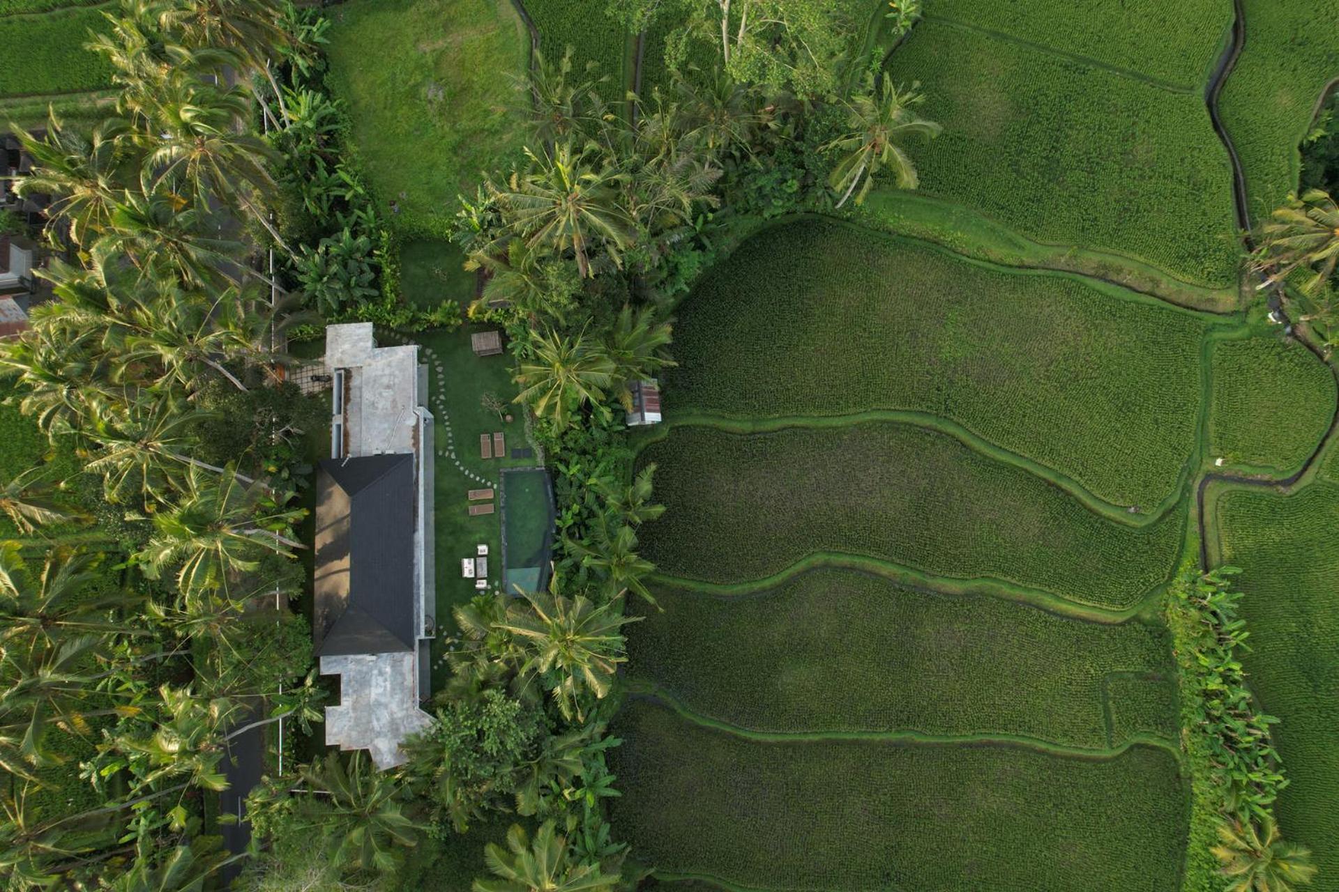 Hatiku Di Bali - Ubud Tegallalang  Εξωτερικό φωτογραφία